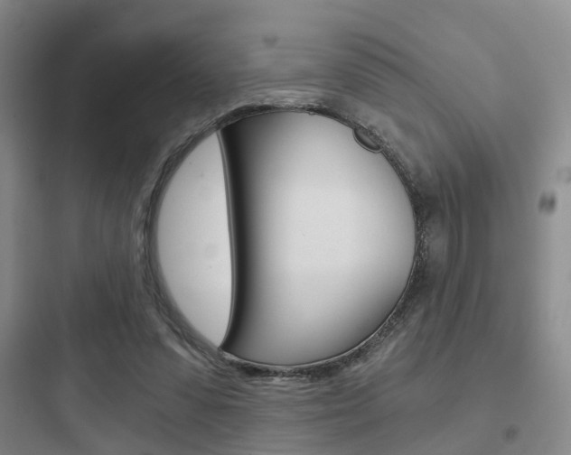 X0000097950303200803241025