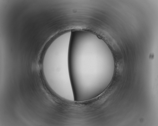X0000097950304200803241025