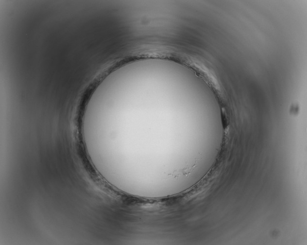 X0000097950306200803241025