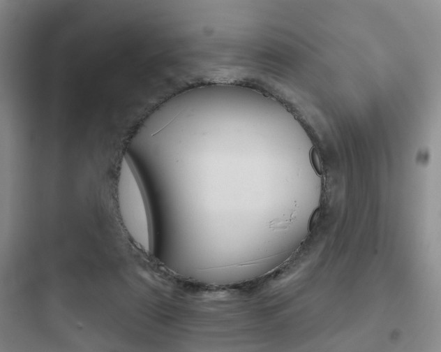 X0000097950307200803241025