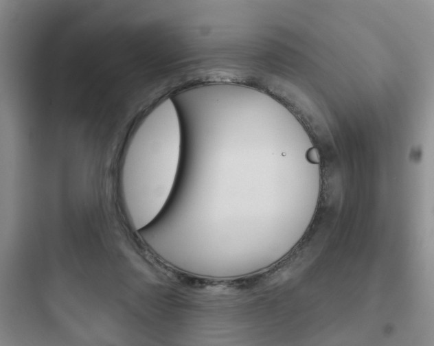 X0000097950310200803241025