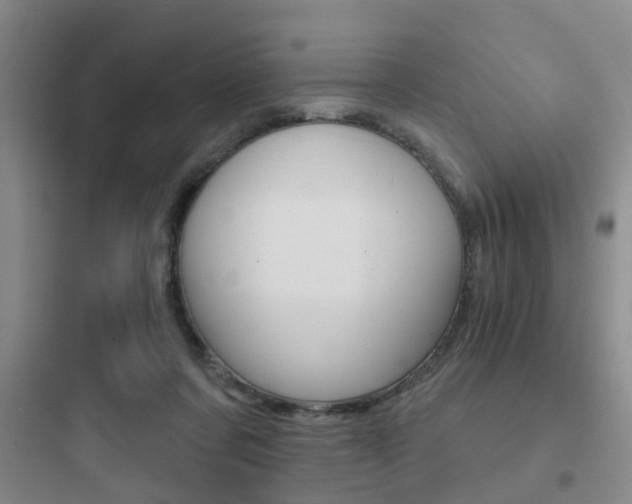 X0000097950311200803241024