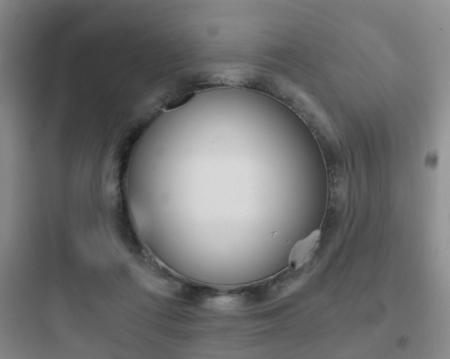 X0000097950312200803241024