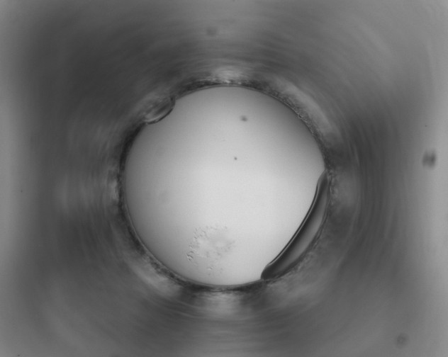 X0000097950313200803241024