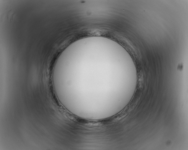 X0000097950314200803241024