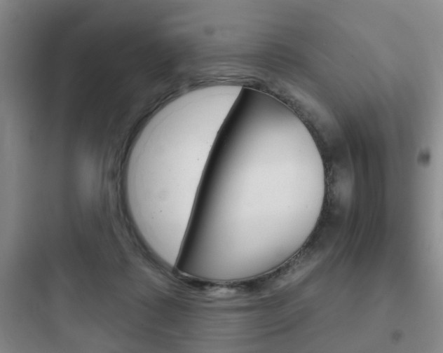 X0000097950315200803241024