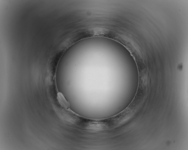 X0000097950316200803241024