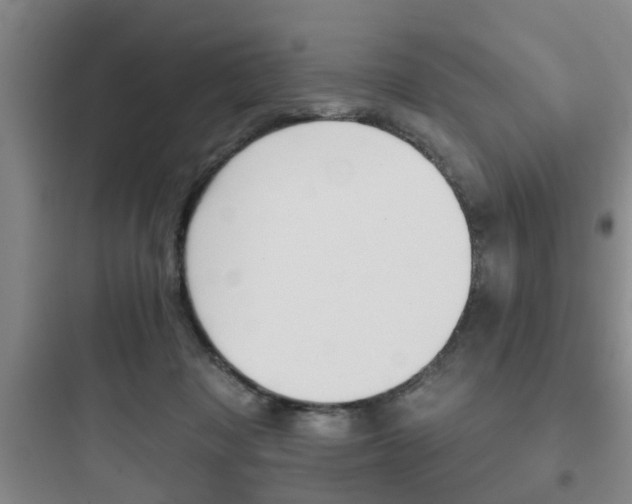 X0000097950317200803241024