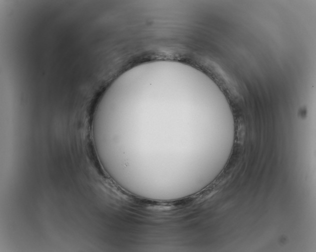 X0000097950318200803241024