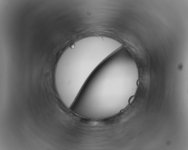 X0000097950319200803241024