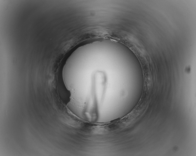 X0000097950320200803241024