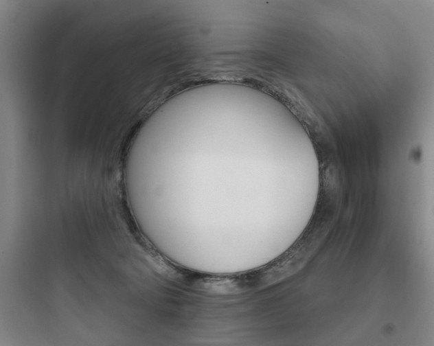 X0000097950322200803241024