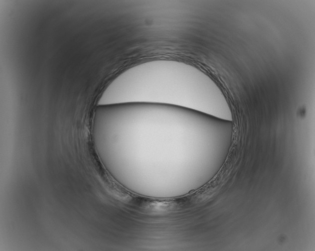 X0000097950323200803241024