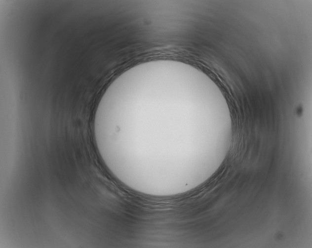 X0000097950324200803241024