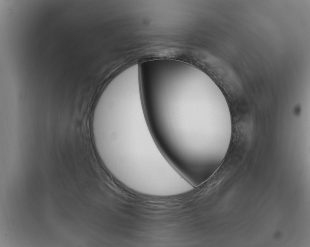 X0000097950325200803241024