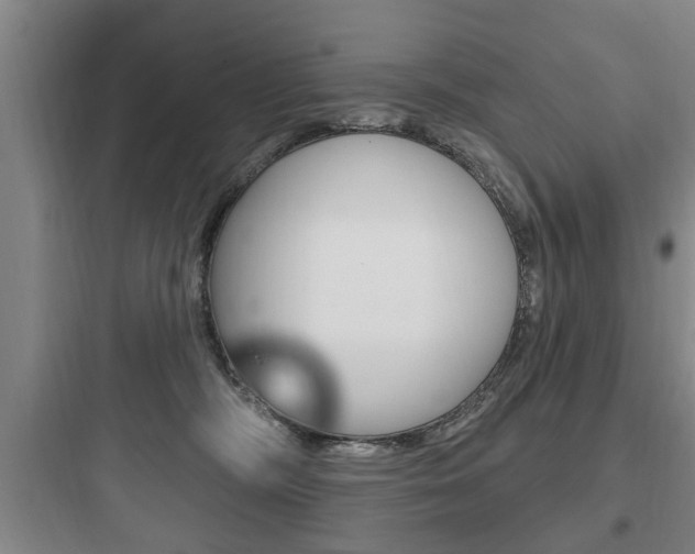 X0000097950326200803241024