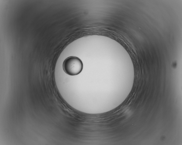 X0000097950328200803241024