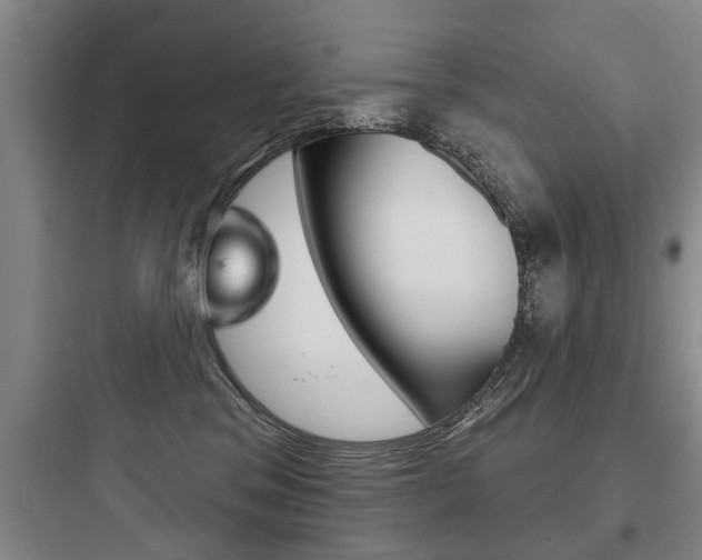 X0000097950329200803241024