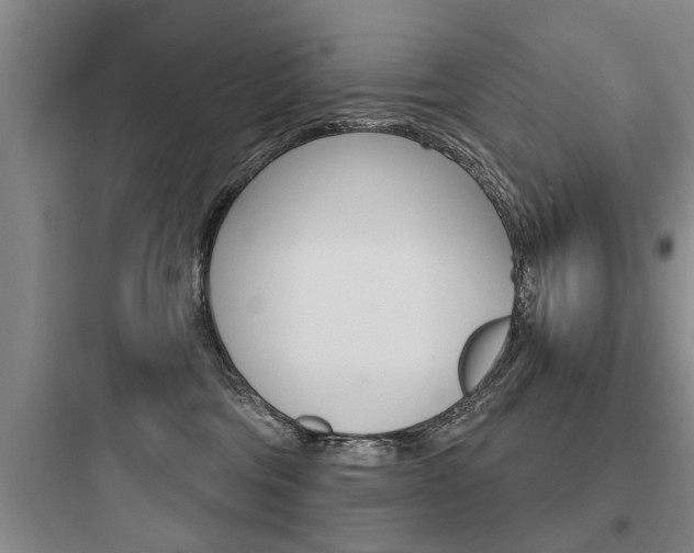 X0000097950330200803241024