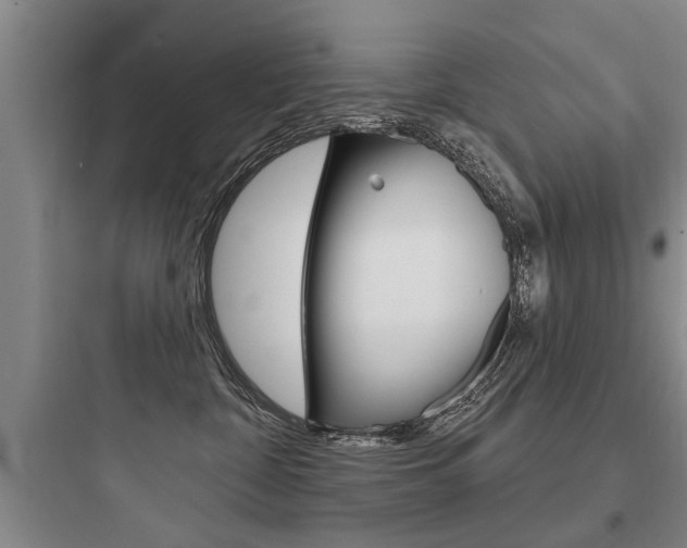 X0000097950332200803241024