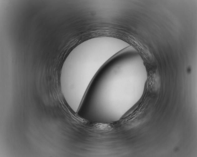 X0000097950333200803241024