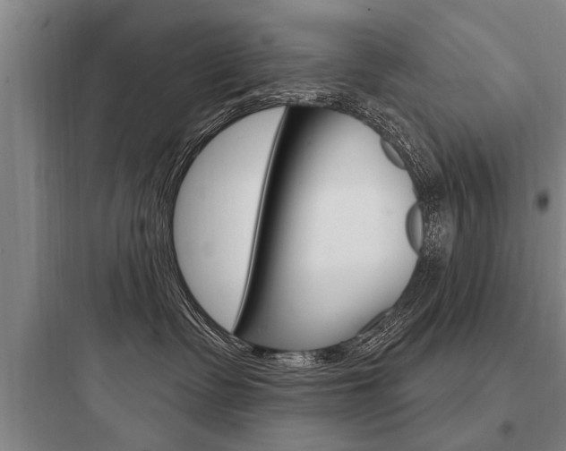 X0000097950335200803241024
