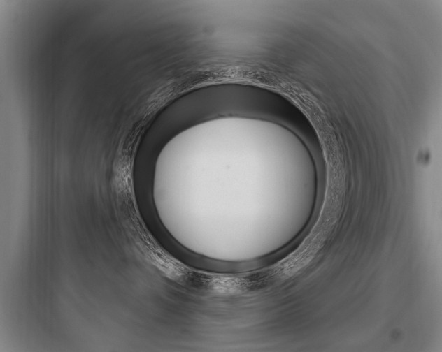 X0000097950336200803241024