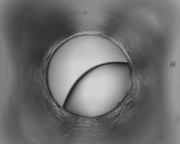 X0000097950337200803241023