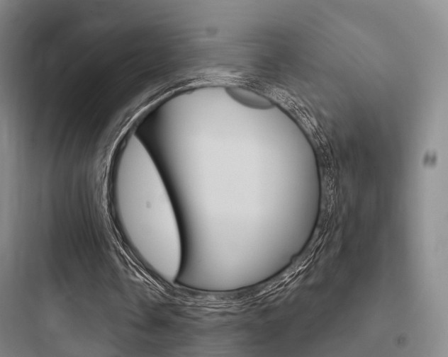 X0000097950338200803241023