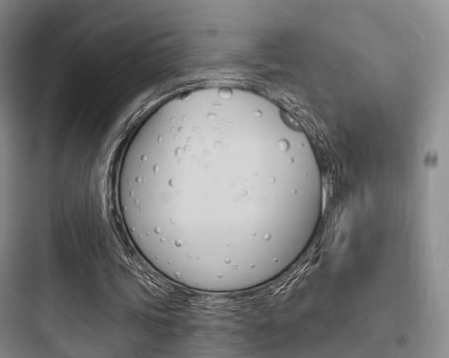 X0000097950339200803241024