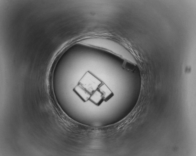 X0000097950340200803241024