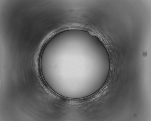 X0000097950341200803241024