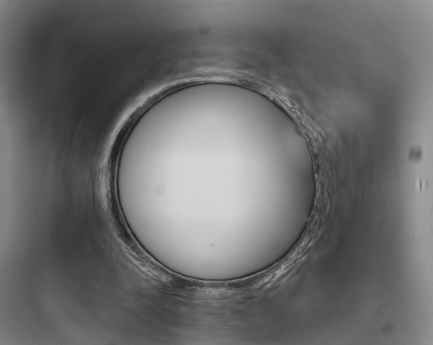 X0000097950342200803241024