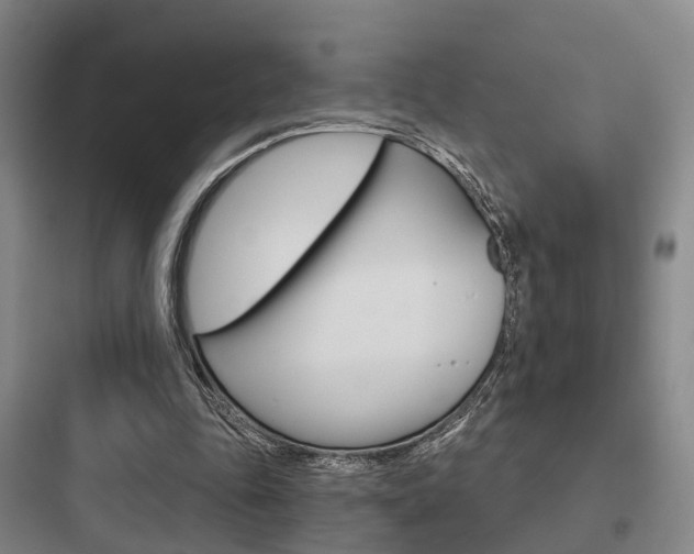 X0000097950343200803241024