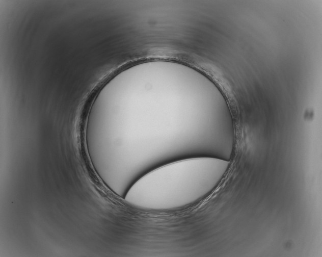 X0000097950346200803241024