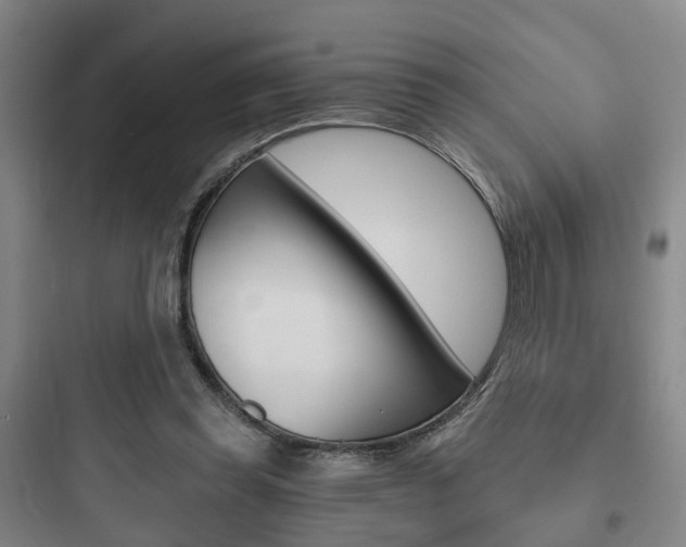 X0000097950349200803241024