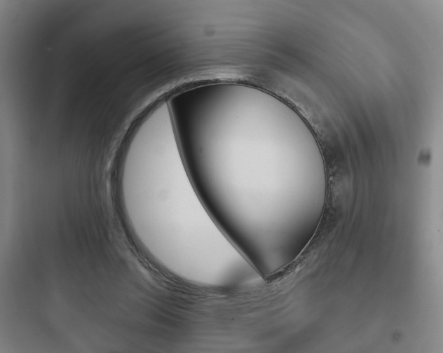 X0000097950350200803241024