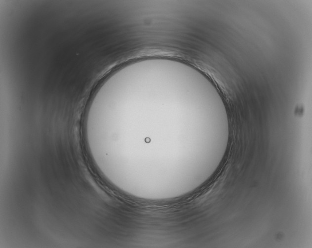 X0000097950352200803241024