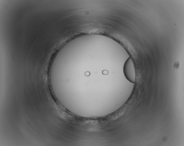 X0000097950353200803241024