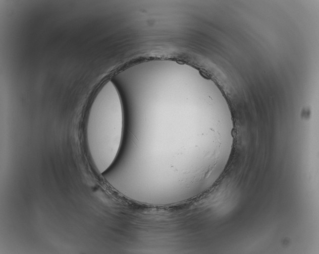 X0000097950354200803241024