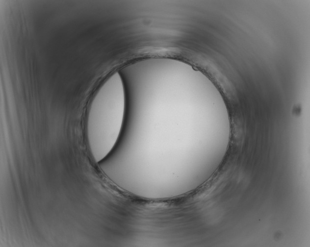 X0000097950357200803241024