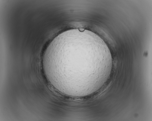 X0000097950359200803241024