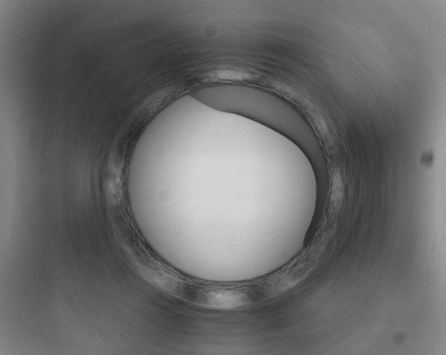 X0000097950360200803241024