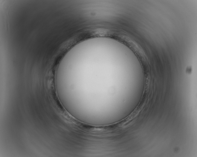 X0000097950361200803241024