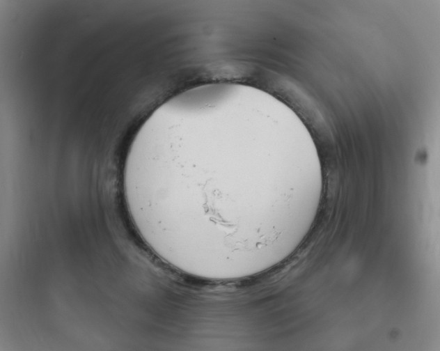 X0000097950362200803241024