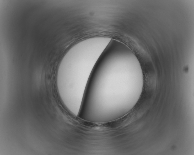X0000097950364200803241024