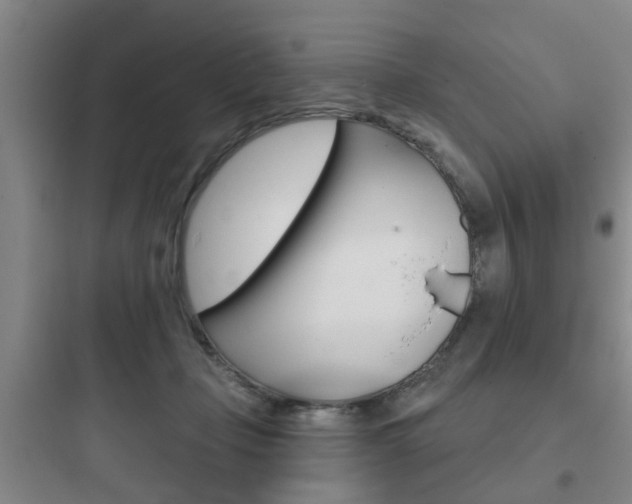 X0000097950365200803241024