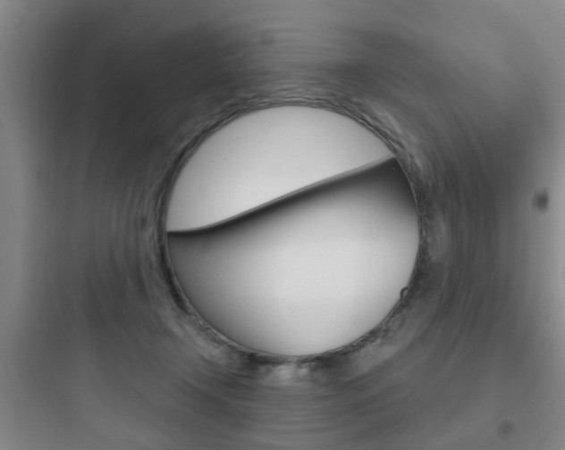 X0000097950366200803241024
