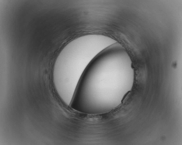 X0000097950368200803241024