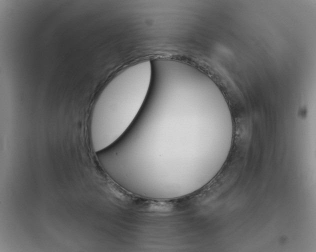 X0000097950369200803241024